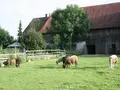 Permakulturhof Eselgarten in Mittelneufnach